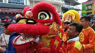 Pawai Naga Cap Go Meh 2019 Pontianak