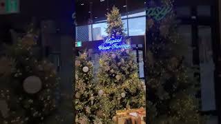 매지컬 홀리데이 겨울이지만 포근포근 연말 분위기🎄🎁☃️ #서울고속버스터미널 #연말 #크리스마스트리