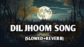 Dil Jhoom song lofi song Vidyut Jammwal | Nora Fatehi | Vishal Mishra |Shreya Ghoshal |Tanishk