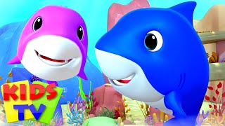 Laughing Baby Shark Song | Nursery Rhymes | Children's Music & Baby Songs | Junior Squad | Kids Tv1