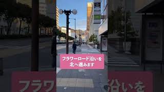 ねこぱんち 道のり案内動画 (ショート版)【DAC+ねこぱんち神戸三宮】#shorts