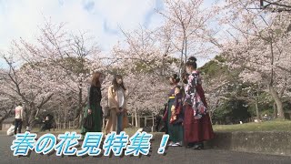 第37回　春のお花見特集🐶