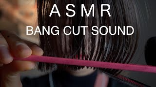 ASMR 앞머리 커트 /핸드 사운드