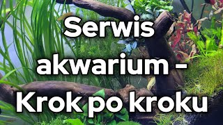 Serwis akwarium - sprzątanie i podmianka wody