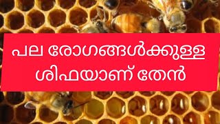 പല രോഗങ്ങൾക്കുമുള്ള അൽഭുദ ശിഫ തേൻ/ഖുർആനിൽ പറഞ്ഞ ഔഷധം