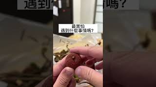 吃荔枝最害怕遇到的事情，這什麼鬼差點吃下肚