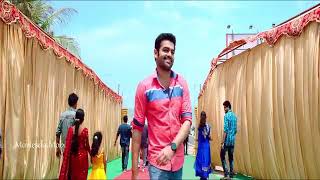 crazy feeling song full video tamil/Nenu sailaja movie