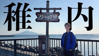 【8泊9日北海道旅行】1日目稚内 その辺に鹿が溢れる町