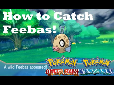 Pokemon Omega Ruby and Alpha Sapphire HOW TO CATCH/FIND FEEBAS! Pokemon Omega Ruby and Alpha Sapphire HOW TO CATCH/FIND FEEBAS!