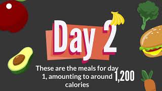 3-Day Military Diet To Lose Weight  Episode #2
