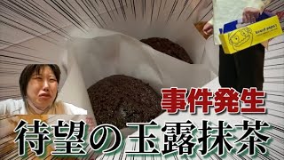 ビアードパパの玉露抹茶を食べようとしたら事件勃発した【期間限定】