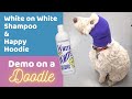 Bathing a Goldendoodle w/ Chris Christensen's White on White Shampoo and Trying the Happy Hoodie