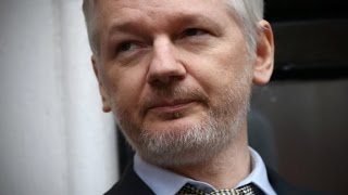 Podesta: Trump guru 'bragged' about Assange ties