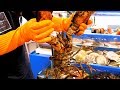 Lobster sashimi and Lobster steamed - Noryangjin Fish Market in Korea