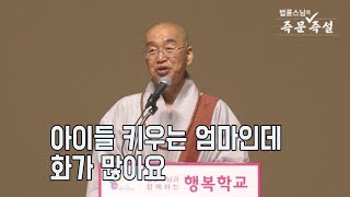 [법륜스님의 즉문즉설 제 1566회] 아이들 키우는 엄마인데 화가 많아요