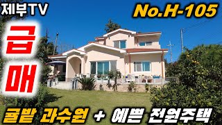 (급매) 제주도에서 가장 로망으로 생각하는 조건의 주택 입니다 제주도민들도 추천하는 단독주택 합리적 가격으로 만나보세요