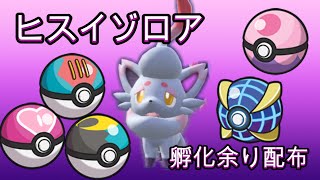 【ポケモンSV】ヒスイゾロア孵化厳選中のため配布しまーす！