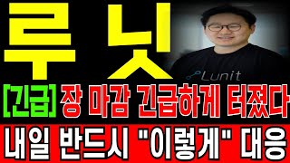 [루닛 주가전망] \