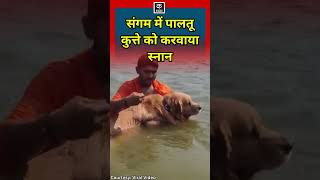 Mahakumbh | पालतू कुत्ते को [ Triveni Sangam ] में करवाया स्नान | Prayagraj #shorts