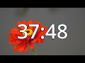 46 minutes timer with music spring timer