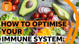 How what you eat affects your immune system | BBC Ideas