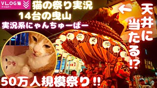 【Cat Vlog】Festival commentary②