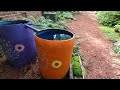 garden tour of a mature shade garden gardening with creekside