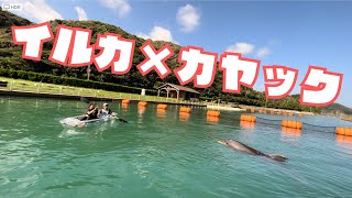 今日はカヤックでイルカと遊びます【壱岐イルカパーク\u0026リゾート】