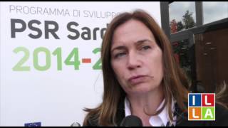 Elisabetta falchi insediamento assemblea por