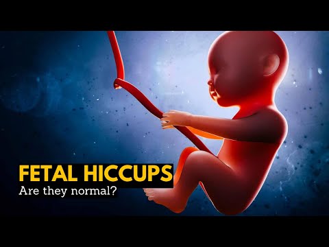 How fast can fetus get hiccups?