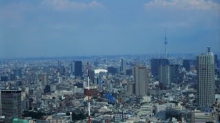 №１『東京都庁南展望室』無料で絶景を観た！摩天楼からの眺めは最高！東京・新宿