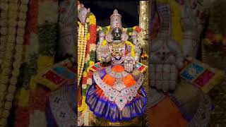 Lord Perumal dharsan in Purattasi second Saturday. Govinda. Govinda