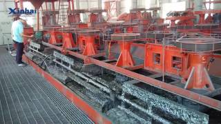 Vietnam Kra 800tpd Graphite Ore Processing_Plant，Xinhai