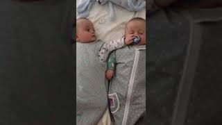 Cute Twin Babies - Dummy Thief