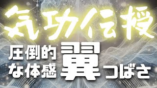 【気功無料伝授】翼【あなたも今日から気功師に！】修行不要・学習不要・難しいこと全部抜きで気功を楽しめる！最先端科学の理論をもとに開発された現代気功です。【伝授を受けるだけで圧倒的な体感！！！】