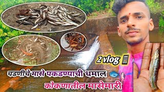 कोकणातील पहिल्या पावसातील मासेमारी । चढणीचे मासे 🐟🐠🐟#kokan #shorts #rain kokan