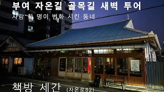 충남 부여 자온길 골목길 새벽 투어