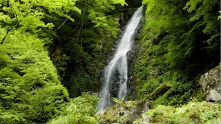 新緑の「白猪の滝」をドローンで空撮【愛媛県東温市】