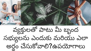 మనం ఇతరులను ఎందుకు అర్థం చేసుకోవాలి?మీ బృంద సభ్యులను l రోజువారీ కార్యకలాపాలు/ఎలా అర్థం చేసుకోవాలి?