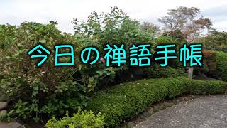 令和3年9月29日作務日報　今日の禅語手帳　わけ隔てない喫茶去（きっさこ）