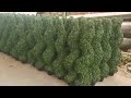 diy topiary trees 丨handmade artificial boxwood topiary trees 丨free maintenance gardening