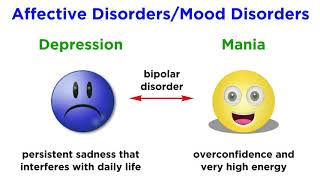 Psychiatric Disorders: Schizophrenia, Depression, Mania, and Anxiety