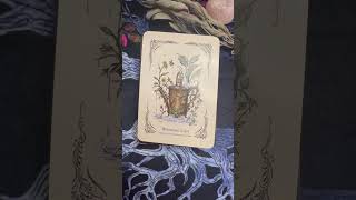 Ask for Help! 💙 The watering can ❤️ One Card Tarot Reading 🔮 #tarot #reading