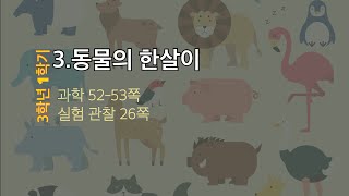 3학년 1학기 3.동물의 한살이_4)배추흰나비의 알과 애벌레의 특징