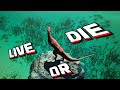 Against All Odds | The Isle Evrima Carnotaurus