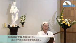 每日聖言分享 【聖瑪爾定主教.都爾 (紀念) (路　17:26-37)】 瑪利亞方濟各傳教修會官德儀修女