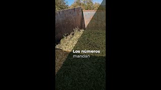 LOS NÚMEROS MANDAN - OLIVAR