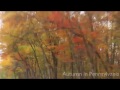 Fall Foliage in Pennsylvania - Driving On Highways