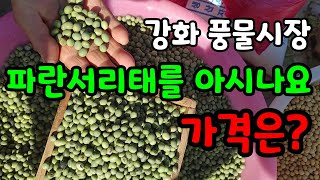 강화풍물시장에 갔더니 파란 서리태가 나왔는데 시세는 과연??