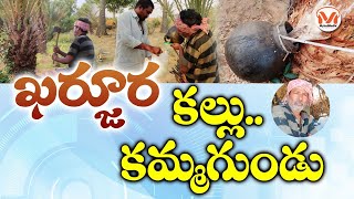 కమ్మనైన ఖర్జూర కల్లు Special Story On Kharjura Kallu | MyindFilm